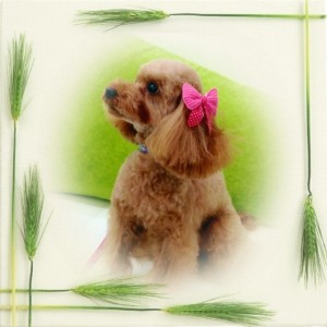 1024x1024xb8c862cd392d23f5034b46 (1)           