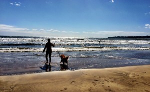 御宿2016年10月29日