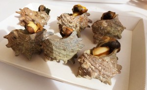 御宿2016年10月29日