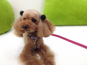 2012-12-21-16-16-51 (1)           