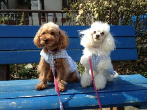 2013-03-20-09-47-02 (1)           