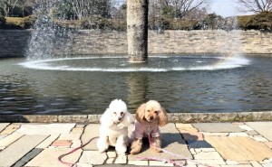 2016-02-13 早春の昭和記念公園  