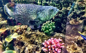 鴨川シーワールド2016年10月30日