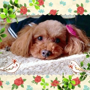 612x612xb8c862cd392d23f5034b4698 (1)   