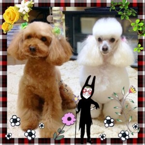 612x612xb8c862cd392d23f5034b4698-2_0 (1)   