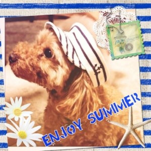 640x640xb8c862cd392d23f5034b4698 (1)   