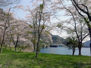 奥多摩  2016年4月17日  